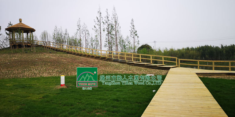 P(yng)ˎ@ľ˽ͤƽ_(ti)ˮ