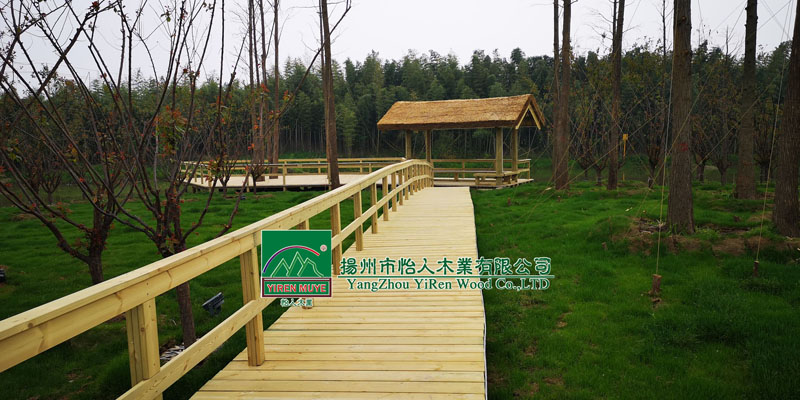 P(yng)ˎ@ľ˽ͤƽ_(ti)ˮ